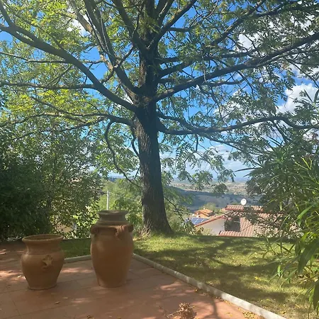 Gemmano's With Pool And Vineyard ヴィラ