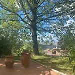 Gemmano's With Pool And Vineyard Villa